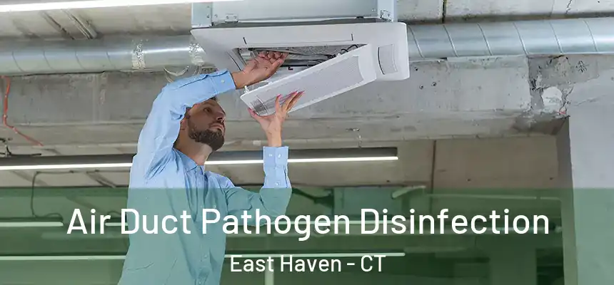  Air Duct Pathogen Disinfection East Haven - CT