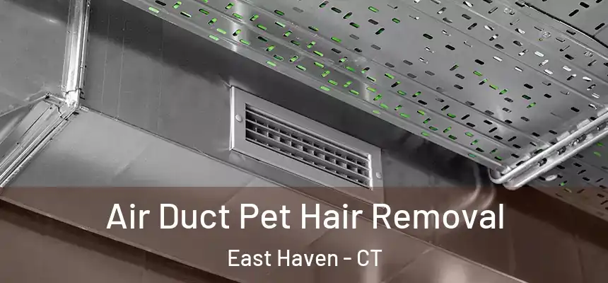 Air Duct Pet Hair Removal East Haven - CT