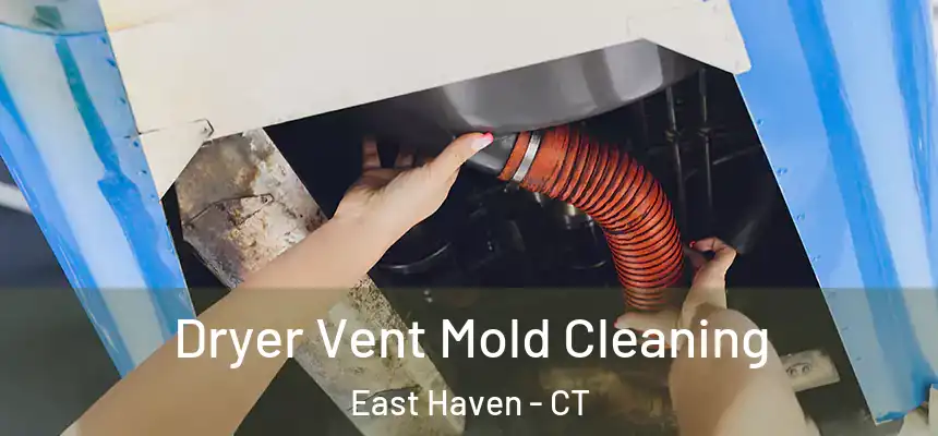  Dryer Vent Mold Cleaning East Haven - CT