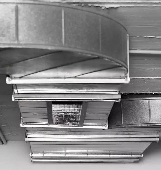 Professional Air Duct Pest Removal in East Haven, CT