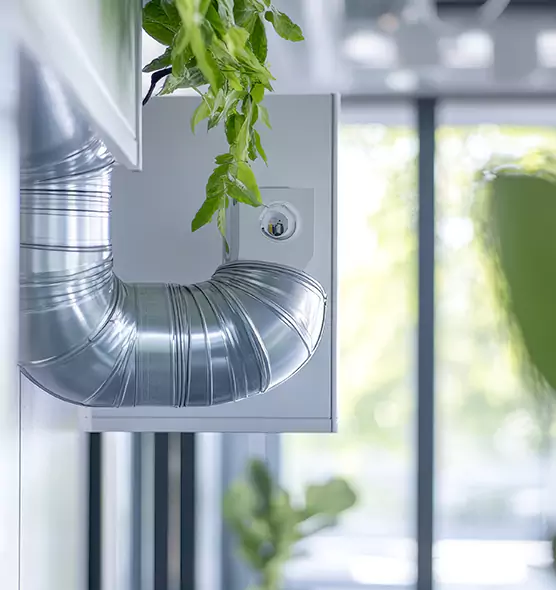 Professional Eco-Safe Dryer Vent Cleaning in East Haven, CT