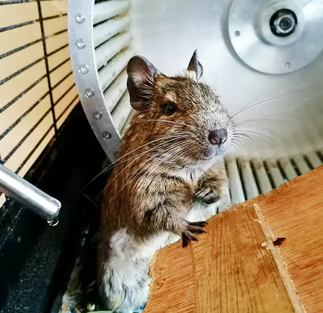 Why Homeowners & Businesses Trust Us East Haven, CT