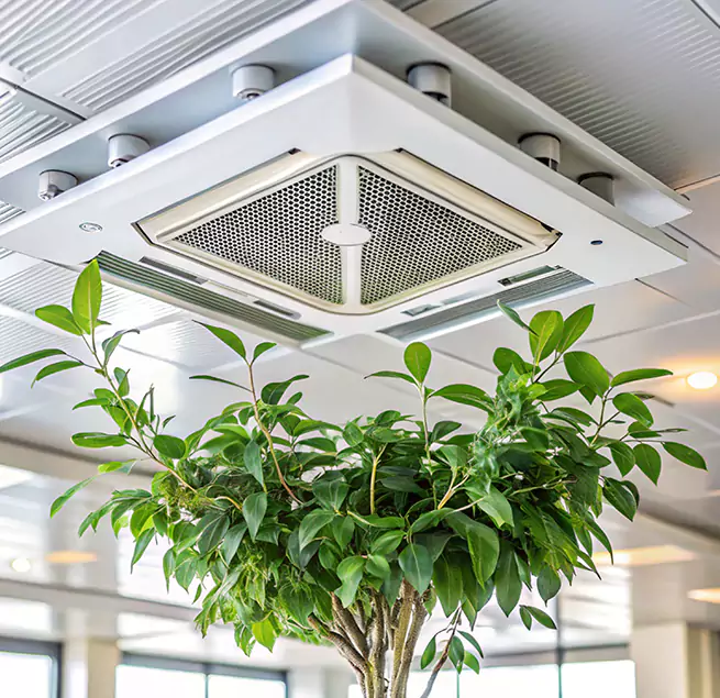 Why Homeowners & Businesses Trust Us in East Haven, CT