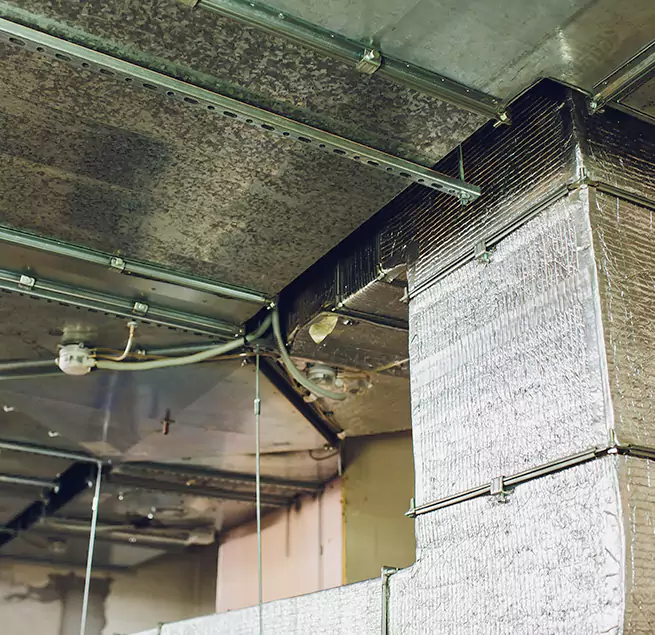 Why Homeowners & Businesses Trust Us in East Haven, CT?